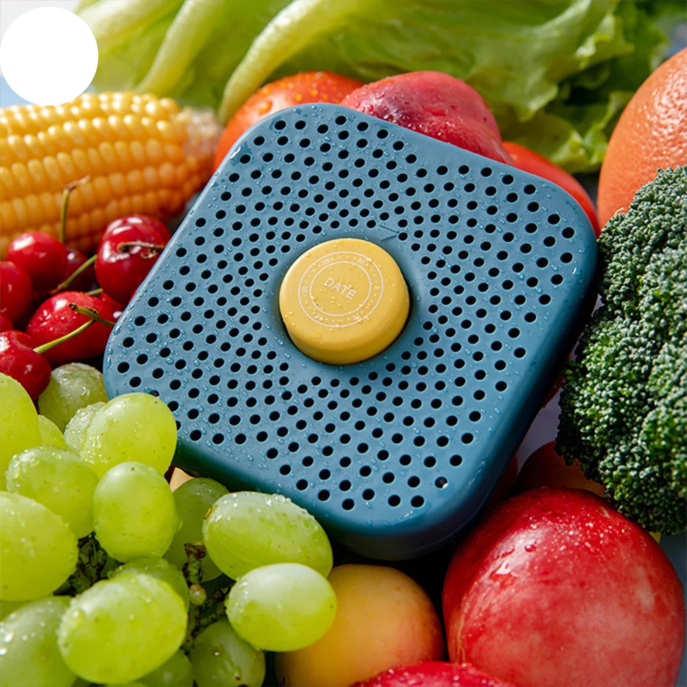 Activated Carbon Fridge Deodorizer