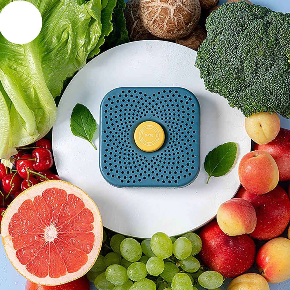 Activated Carbon Fridge Deodorizer